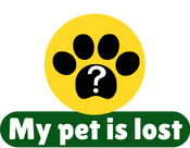 My pet is lost